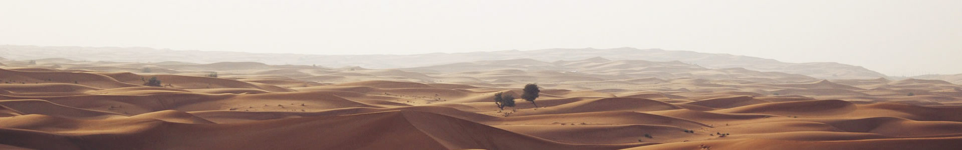 ʸܽ޹˾